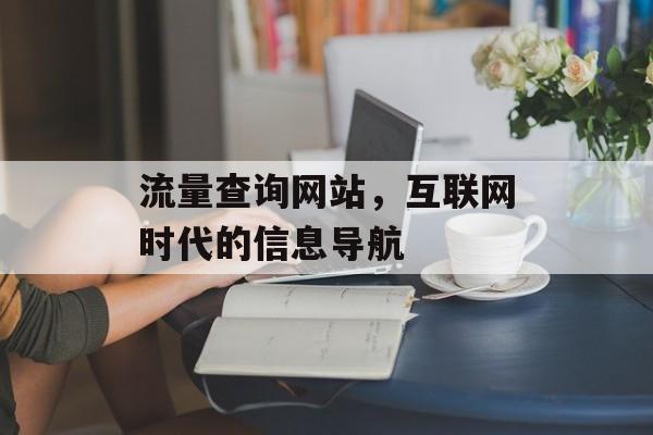 流量查询网站，互联网时代的信息导航