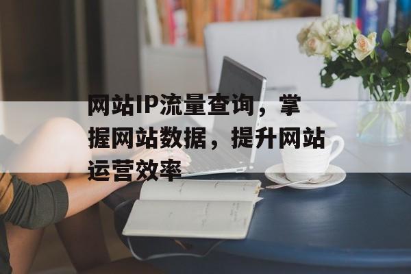 网站IP流量查询，掌握网站数据，提升网站运营效率