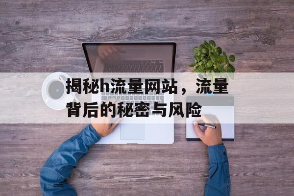 揭秘h流量网站，流量背后的秘密与风险