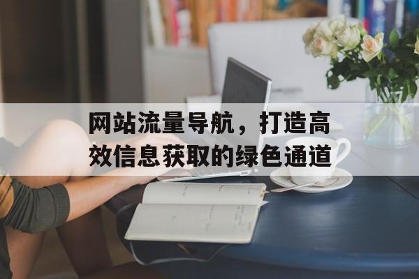 网站流量导航，打造高效信息获取的绿色通道