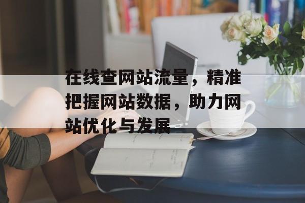 在线查网站流量，精准把握网站数据，助力网站优化与发展