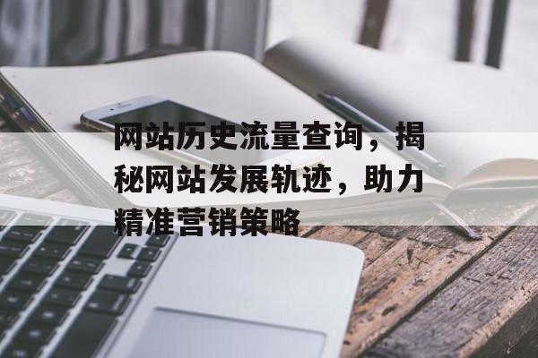 网站历史流量查询，揭秘网站发展轨迹，助力精准营销策略