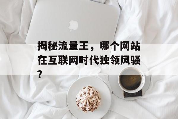 揭秘流量王,哪个网站在互联网时代独领风骚? 揭秘流量王,哪个网站在互联网时代独领风骚?