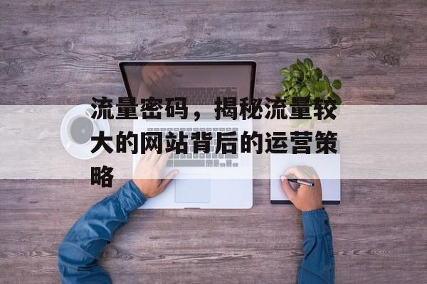 流量密码,揭秘流量较大的网站背后的运营策略 流量密码,揭秘流量较大的网站背后的运营策略