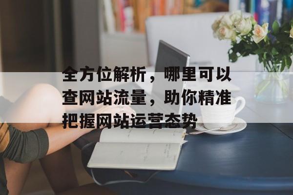 全方位解析，哪里可以查网站流量，助你精准把握网站运营态势