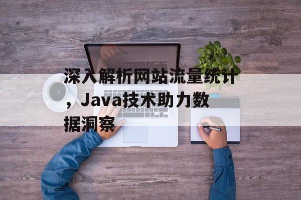 深入解析网站流量统计，Java技术助力数据洞察