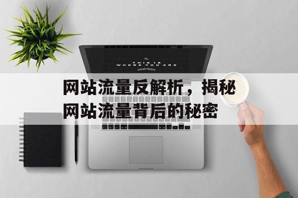 网站流量反解析，揭秘网站流量背后的秘密