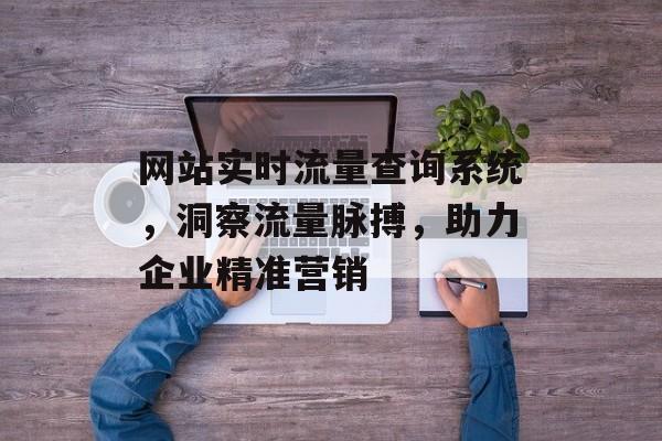 网站实时流量查询系统，洞察流量脉搏，助力企业精准营销