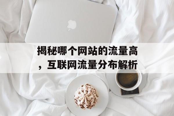 揭秘哪个网站的流量高，互联网流量分布解析