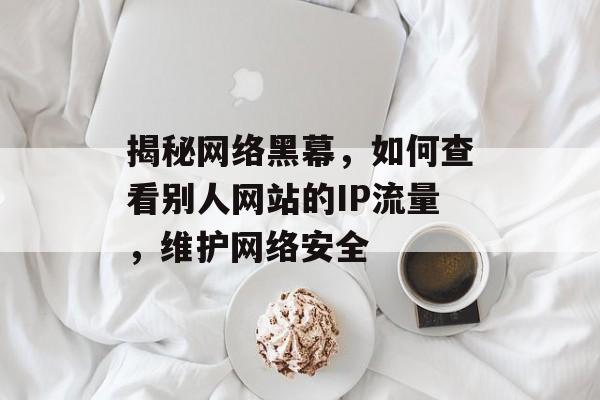揭秘网络黑幕,如何查看别人网站的IP流量,维护网络安全 揭秘网络黑幕,如何查看别人网站的IP流量,维护网络安全