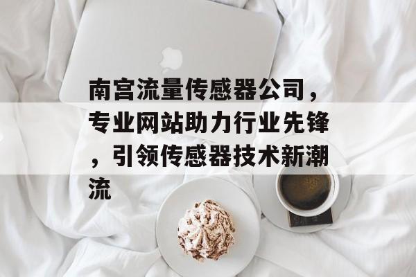 南宫流量传感器公司，专业网站助力行业先锋，引领传感器技术新潮流