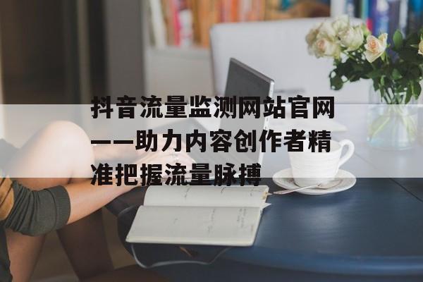 抖音流量监测网站官网——助力内容创作者精准把握流量脉搏