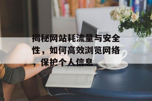 揭秘网站耗流量与安全性，如何高效浏览网络，保护个人信息