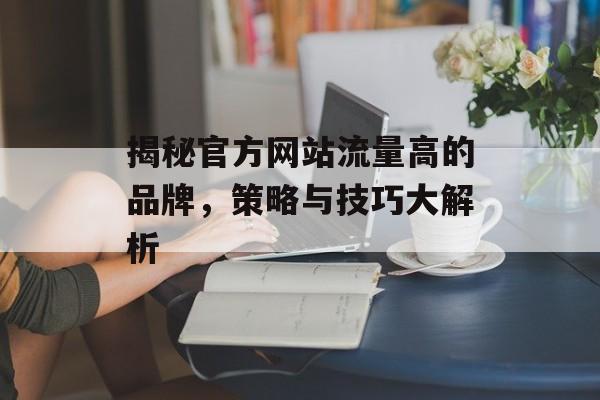 揭秘官方网站流量高的品牌,策略与技巧大解析 揭秘官方网站流量高的品牌,策略与技巧大解析