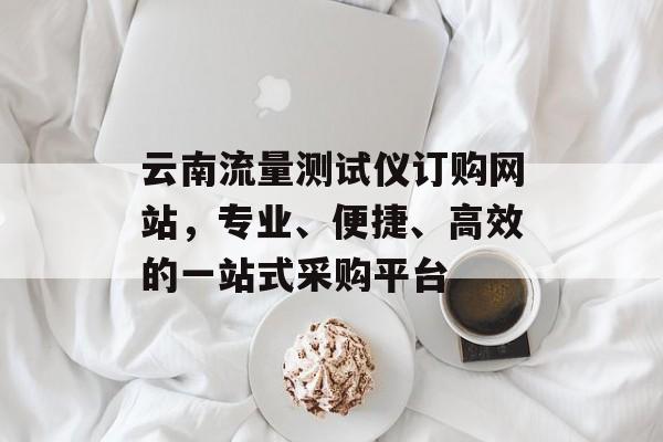 云南流量测试仪订购网站,专业、便捷、高效的一站式采购平台 云南流量测试仪订购网站,专业、便捷、高效的一站式采购平台