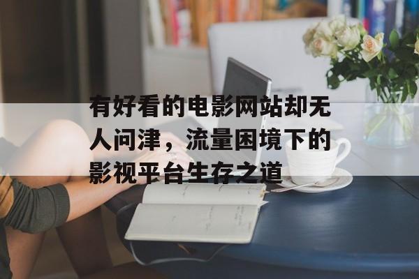 有好看的电影网站却无人问津，流量困境下的影视平台生存之道