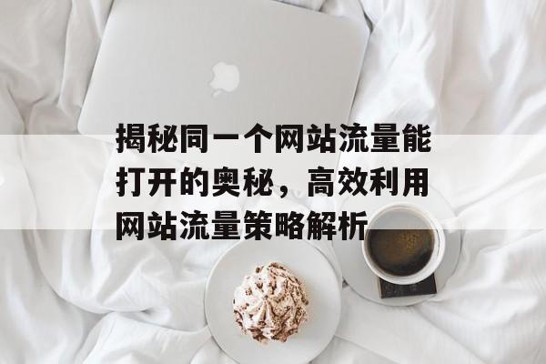 揭秘同一个网站流量能打开的奥秘，高效利用网站流量策略解析