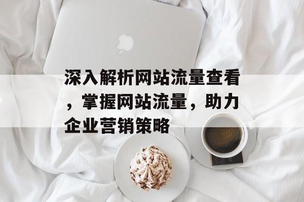深入解析网站流量查看，掌握网站流量，助力企业营销策略