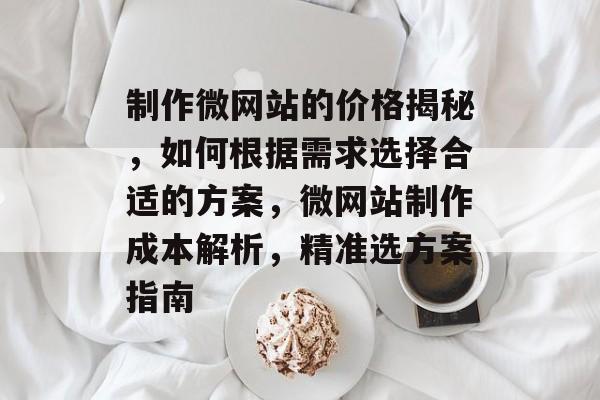 制作微网站的价格揭秘，如何根据需求选择合适的方案，微网站制作成本解析，精准选方案指南