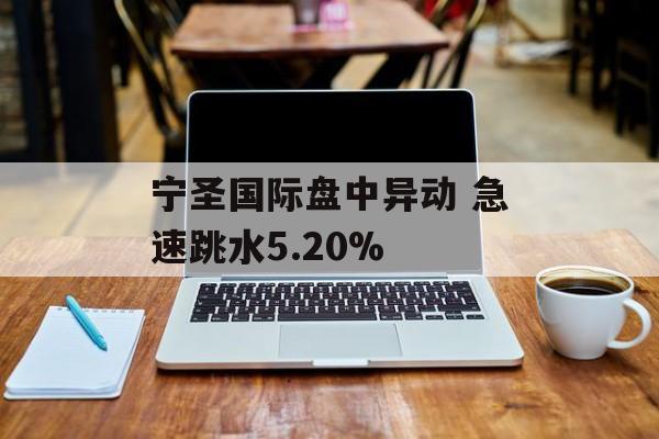 宁圣国际盘中异动 急速跳水5.20%
