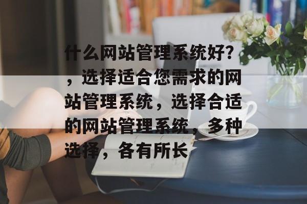 什么网站管理系统好？，选择适合您需求的网站管理系统，选择合适的网站管理系统，多种选择，各有所长