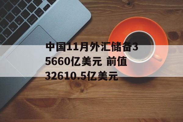 中国11月外汇储备35660亿美元 前值32610.5亿美元