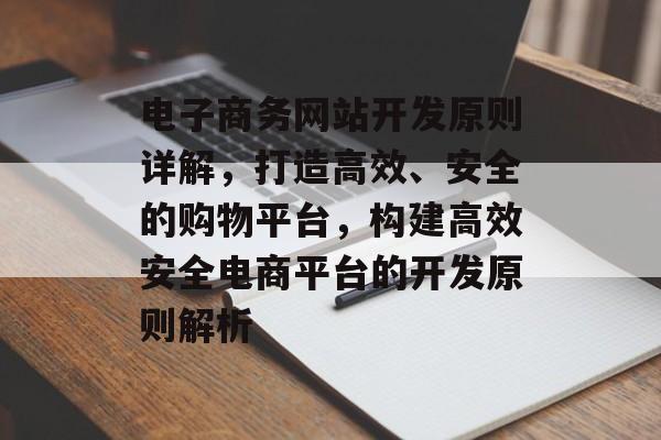 电子商务网站开发原则详解，打造高效、安全的购物平台，构建高效安全电商平台的开发原则解析