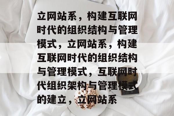 立网站系，构建互联网时代的组织结构与管理模式，立网站系，构建互联网时代的组织结构与管理模式，互联网时代组织架构与管理模式的建立，立网站系