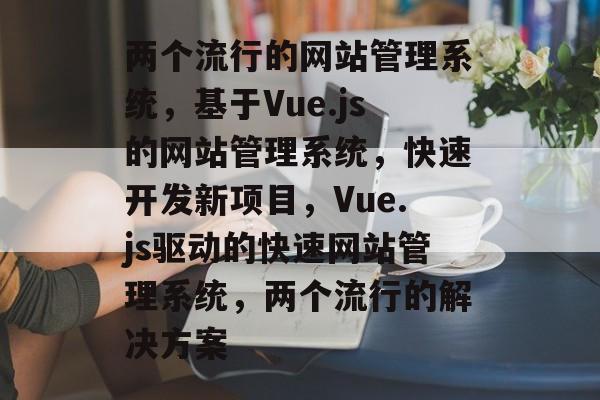 两个流行的网站管理系统，基于Vue.js的网站管理系统，快速开发新项目，Vue.js驱动的快速网站管理系统，两个流行的解决方案