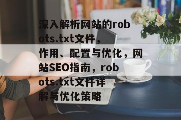 深入解析网站的robots.txt文件，作用、配置与优化，网站SEO指南，robots.txt文件详解与优化策略