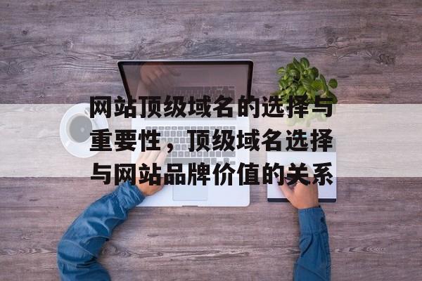 网站顶级域名的选择与重要性，顶级域名选择与网站品牌价值的关系