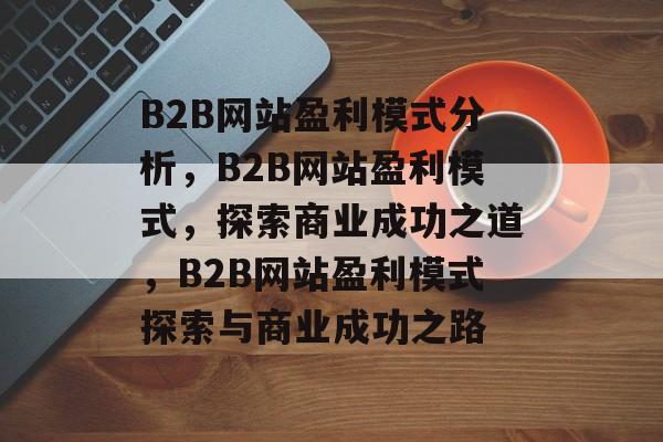 B2B网站盈利模式分析，B2B网站盈利模式，探索商业成功之道，B2B网站盈利模式探索与商业成功之路