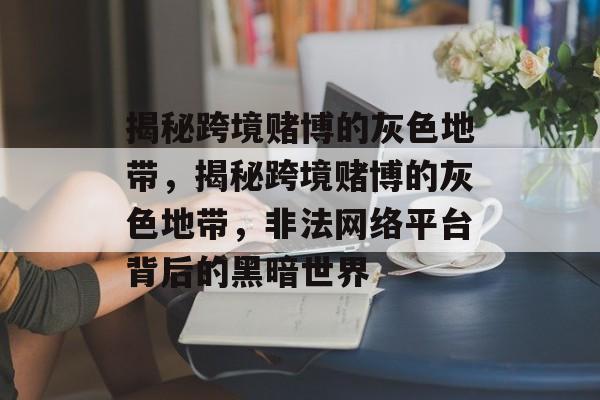 揭秘跨境赌博的灰色地带，揭秘跨境赌博的灰色地带，非法网络平台背后的黑暗世界