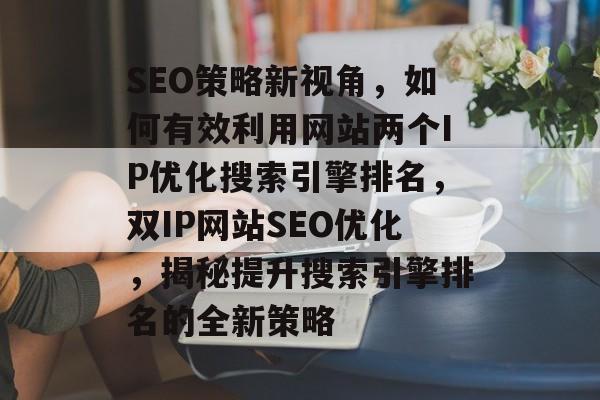SEO策略新视角，如何有效利用网站两个IP优化搜索引擎排名，双IP网站SEO优化，揭秘提升搜索引擎排名的全新策略