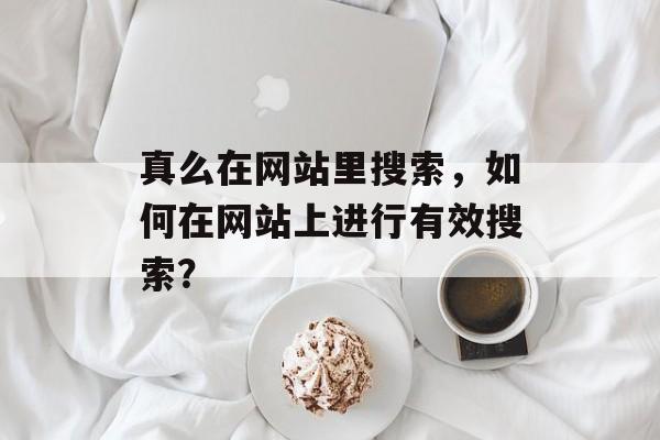 真么在网站里搜索，如何在网站上进行有效搜索？