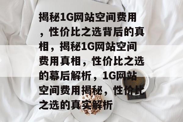 揭秘1G网站空间费用，性价比之选背后的真相，揭秘1G网站空间费用真相，性价比之选的幕后解析，1G网站空间费用揭秘，性价比之选的真实解析