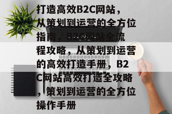 打造高效B2C网站，从策划到运营的全方位指南，B2C网站全流程攻略，从策划到运营的高效打造手册，B2C网站高效打造全攻略，策划到运营的全方位操作手册
