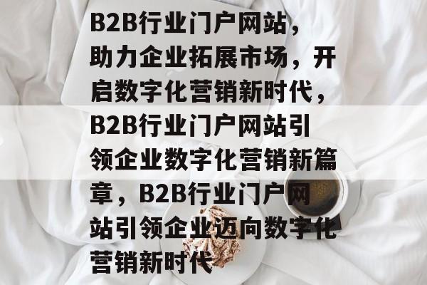 B2B行业门户网站，助力企业拓展市场，开启数字化营销新时代，B2B行业门户网站引领企业数字化营销新篇章，B2B行业门户网站引领企业迈向数字化营销新时代