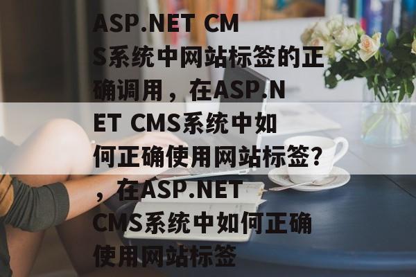 ASP.NET CMS系统中网站标签的正确调用，在ASP.NET CMS系统中如何正确使用网站标签？，在ASP.NET CMS系统中如何正确使用网站标签