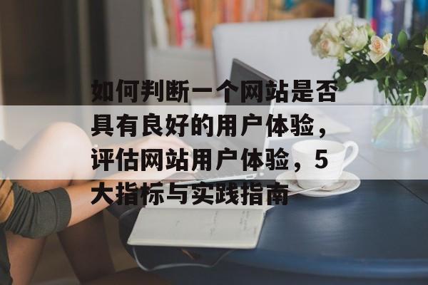 如何判断一个网站是否具有良好的用户体验，评估网站用户体验，5大指标与实践指南