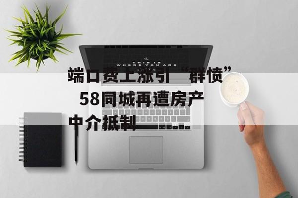 端口费上涨引“群愤”  58同城再遭房产中介抵制