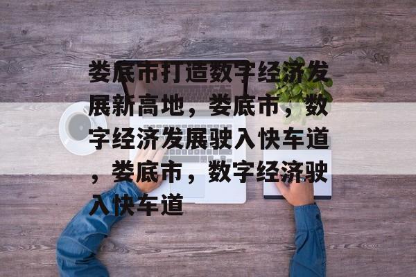 娄底市打造数字经济发展新高地，娄底市，数字经济发展驶入快车道，娄底市，数字经济驶入快车道