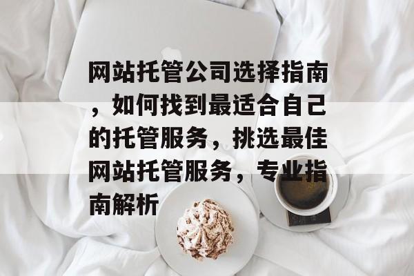 网站托管公司选择指南，如何找到最适合自己的托管服务，挑选最佳网站托管服务，专业指南解析