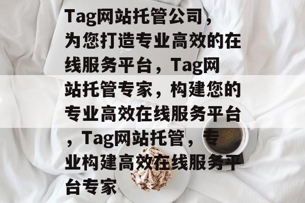 Tag网站托管公司，为您打造专业高效的在线服务平台，Tag网站托管专家，构建您的专业高效在线服务平台，Tag网站托管，专业构建高效在线服务平台专家