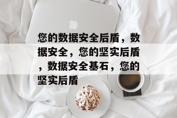 您的数据安全后盾，数据安全，您的坚实后盾，数据安全基石，您的坚实后盾