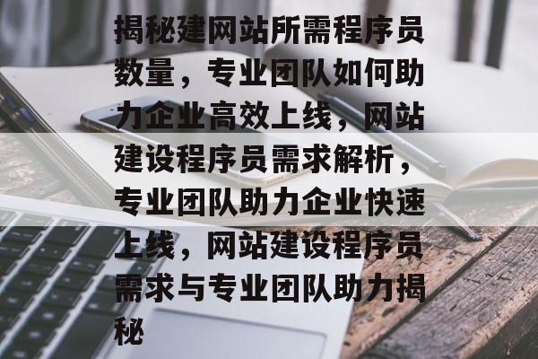 揭秘建网站所需程序员数量，专业团队如何助力企业高效上线，网站建设程序员需求解析，专业团队助力企业快速上线，网站建设程序员需求与专业团队助力揭秘