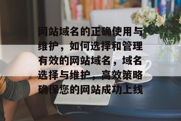 网站域名的正确使用与维护，如何选择和管理有效的网站域名，域名选择与维护，高效策略确保您的网站成功上线