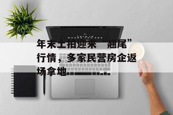 年末土拍迎来“翘尾”行情，多家民营房企返场拿地