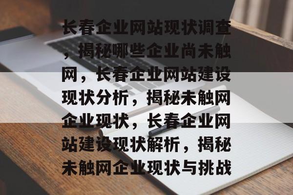 长春企业网站现状调查，揭秘哪些企业尚未触网，长春企业网站建设现状分析，揭秘未触网企业现状，长春企业网站建设现状解析，揭秘未触网企业现状与挑战