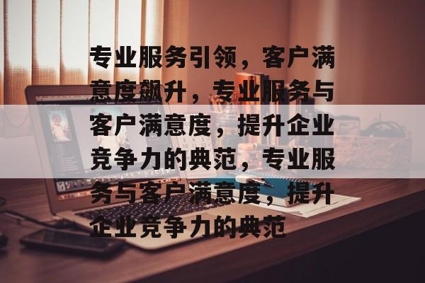 专业服务引领，客户满意度飙升，专业服务与客户满意度，提升企业竞争力的典范，专业服务与客户满意度，提升企业竞争力的典范